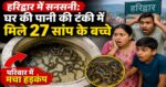 हरिद्वार में सनसनी: घर की पानी की टंकी में मिले 27 सांप के बच्चे, परिवार में मचा हड़कंप